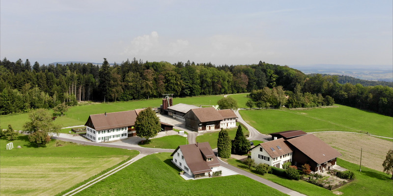Luftaufnahme von einem Hof mit mehreren Gebäuden, grünen Wiesen und Wald.