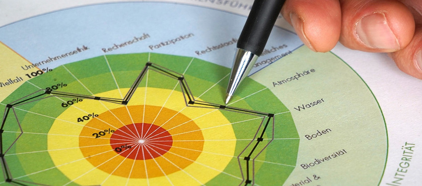 Beispielhaftes Spinnennetz-Diagramm einer Nachhaltigkeitsanalyse mit SMART.